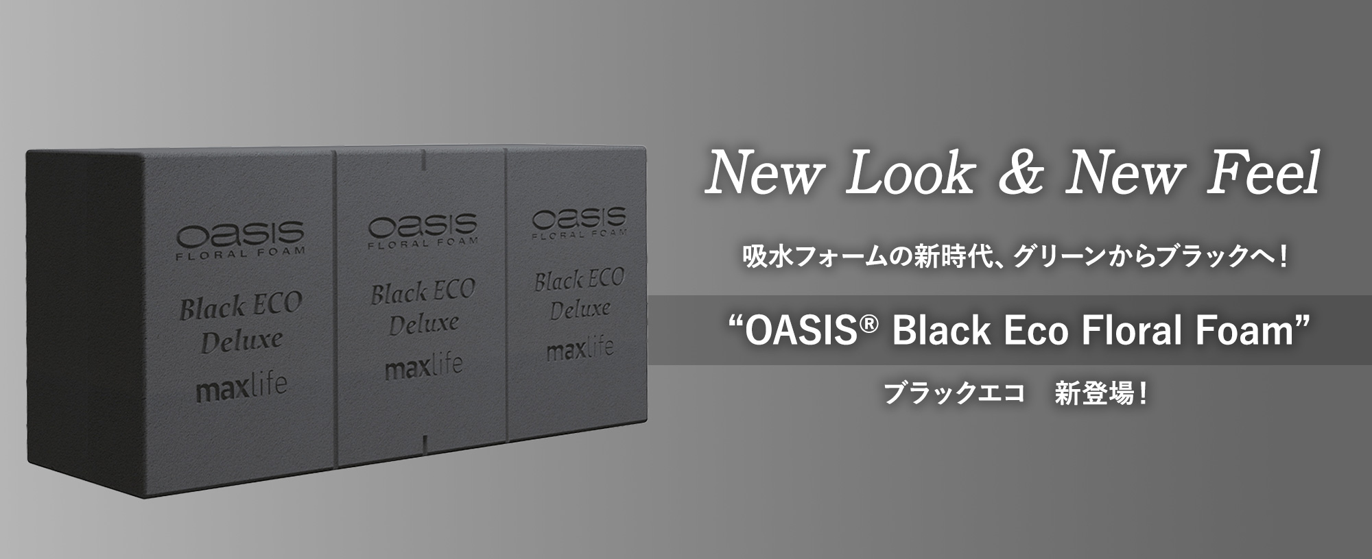 New Look & New Feel
				吸水フォームの新時代、グリーンからブラックへ！
“OASIS® Black Eco Floral Foam”
ブラックエコ　新登場！