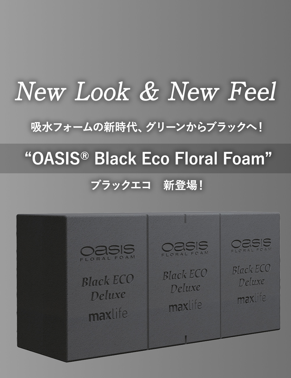 New Look & New Feel
				吸水フォームの新時代、グリーンからブラックへ！
“OASIS® Black Eco Floral Foam”
ブラックエコ　新登場！