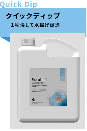 クイックディップ：１秒浸して水揚げ促進
