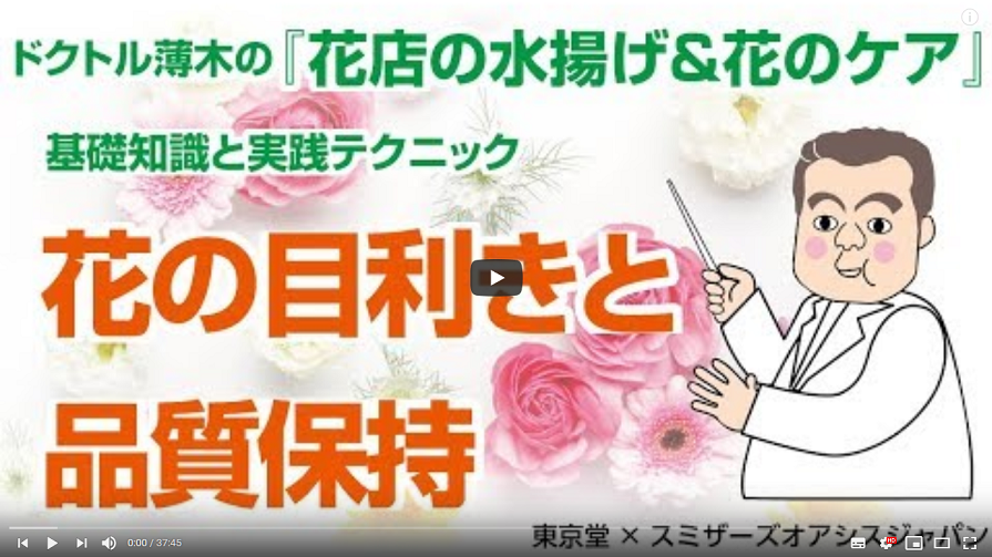 株式会社東京堂 スミザーズオアシスジャパンで切り花鮮度保持のビデオを作成しました オアシス フローラルプロダクツ スミザーズオアシスジャパン